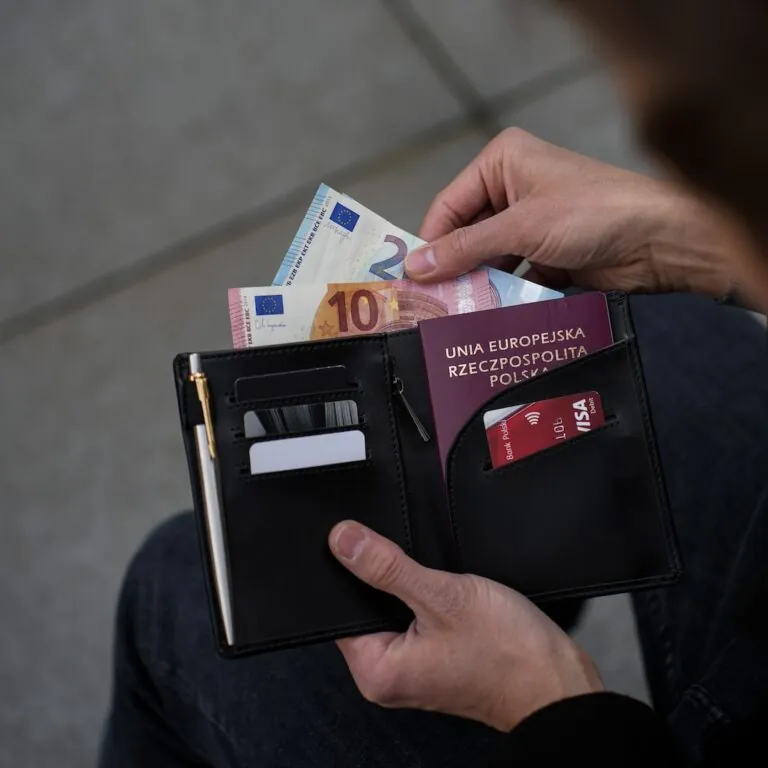 Travel Wallet black